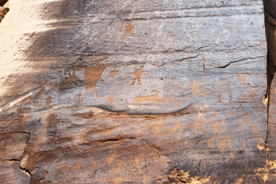 Petroglyphs Canyonlands NP June 2025